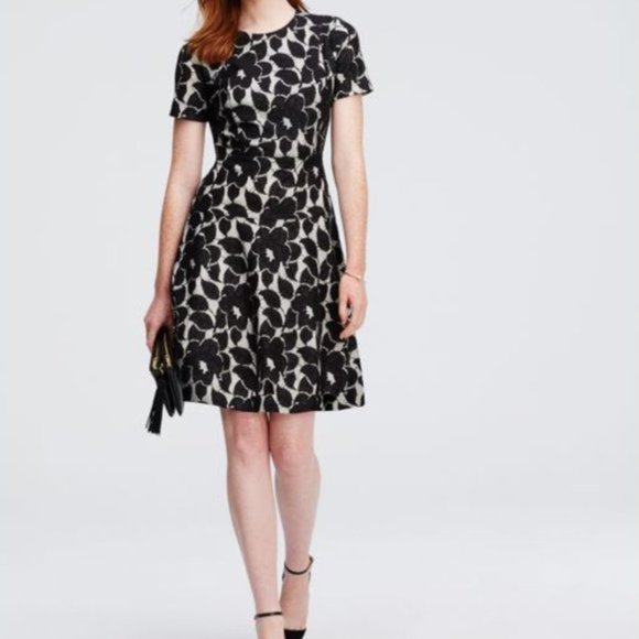 Ann Taylor Bonded Black Lace Flare Dress - Picture 2 of 10